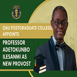 Professor Adetokunbo Ilesanmi, New Provost of OAU Postgraduate College